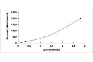 Typical standard curve (LIF ELISA Kit)