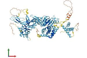 AlphaFold protein structure predicition of Human Recombinant MCM6 Protein, UniprotID Q14566 (MCM6 Protein (AA 1-821) (His tag))