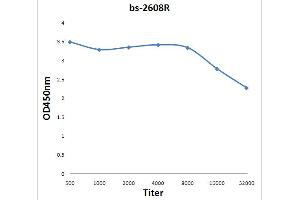 Antigen: 0. (IL17RD antibody  (AA 401-500))