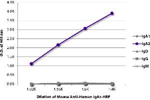 ELISA plate was coated with purified human IgA1, IgA2, IgD, IgG, and IgM. (Mouse anti-Human IgA2 (Fc Region) Antibody (HRP))
