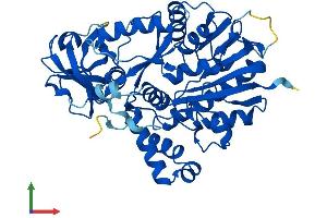 AlphaFold protein structure predicition of Human Recombinant NSUN6 Protein, UniprotID Q8TEA1 (NSUN6 Protein (AA 1-469) (His tag))