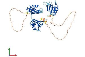 AlphaFold protein structure predicition of Mouse Recombinant Elavl4 Protein, UniprotID Q61701 (ELAVL4 Protein (AA 1-385) (His tag))