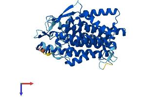 TM7SF2 Protein (AA 1-418) (His tag)