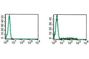 Flow Cytometry (FACS) image for anti-Interleukin 17A (IL17A) antibody (PE) (ABIN1107810) (Interleukin 17a antibody  (PE))