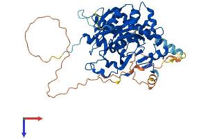 AlphaFold protein structure predicition of Mouse Recombinant Hspbap1 Protein, UniprotID Q8BK58 (HSPBAP1 Protein (AA 1-483) (His tag))