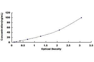 ELISA image for Annexin A2 (ANXA2) ELISA Kit (ABIN1568405) (Annexin A2 ELISA Kit)