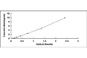 Typical standard curve (ENOS ELISA Kit)