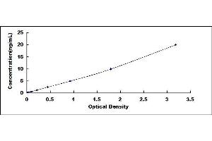 Typical standard curve (COMP ELISA Kit)