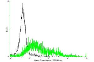 FACS analysis of negative control 293 cells (Black) and NPY5R expressing 293 cells (Green) using NPY5R purified MaxPab mouse polyclonal antibody. (NPY5R antibody  (AA 1-445))