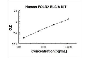 Folate Receptor 2 (Fetal) (FOLR2) ELISA Kit