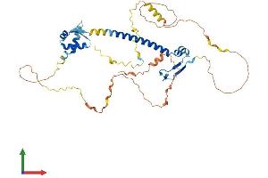 AlphaFold protein structure predicition of Mouse Recombinant E2f1 Protein, UniprotID Q61501