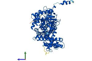 AlphaFold protein structure predicition of Mouse Recombinant Acox2 Protein, UniprotID Q9QXD1 (Acox2 Protein (AA 1-681) (His tag))