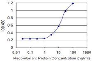 Detection limit for recombinant GST tagged ZIC4 is 1 ng/ml as a capture antibody. (ZIC4 antibody  (AA 1-90))