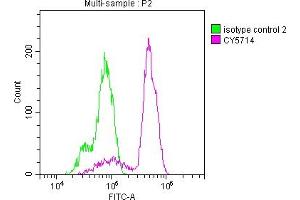 Overlay histogram showing Hela cells stained with ABIN7127434 (red line) at 1:50. (Recombinant PTGS1 antibody)