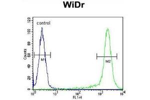 AMAC1L2 Antibody (N-term) flow cytometric analysis of WiDr cells (right histogram) compared to a negative control cell (left histogram). (AMAC1L2 antibody  (N-Term))