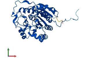 Protein Structure (PS) image for Arginase, Liver (ARG1) (AA 1-323) protein (His tag) (ABIN7557676)