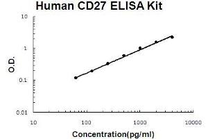 Human TNFRSF7/CD27 PicoKine ELISA Kit standard curve (CD27 ELISA Kit)