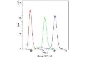 Flow cytometry testing of human A431 cells with PTP4A2 antibody at 1ug/10^6 cells (blocked with goat sera)