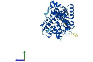 AlphaFold protein structure predicition of Mouse Recombinant Gal3st2 Protein, UniprotID Q6XQH0
