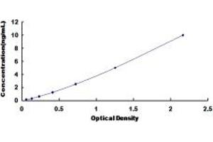 HSD17B10 ELISA Kit