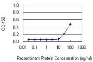 Detection limit for recombinant GST tagged FBXO40 is 10 ng/ml as a capture antibody. (FBXO40 antibody  (AA 620-709))