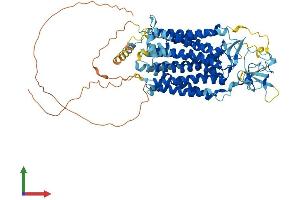AlphaFold protein structure predicition of Human Recombinant SLCO4A1 Protein, UniprotID Q96BD0 (SLCO4A1 Protein (AA 1-722) (His tag))