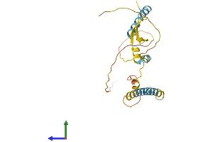 AlphaFold protein structure predicition of Mouse Recombinant Arl6ip4 Protein, UniprotID Q9JM93