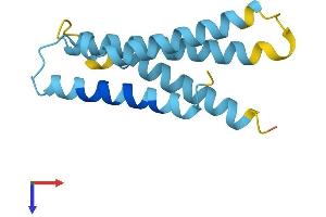 AlphaFold protein structure predicition of Human Recombinant TMEM60 Protein, UniprotID Q9H2L4 (TMEM60 Protein (AA 1-133) (His tag))