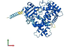 Protein Structure (PS) image for Cytochrome P450, Family 2, Subfamily C, Polypeptide 8 (CYP2C8) (AA 1-490) protein (His tag) (ABIN7546670)