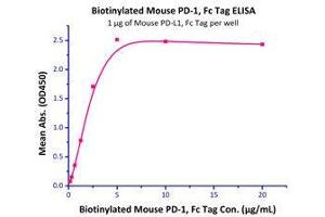 Immobilized Mouse PD-L1 / B7-H1 Protein, Fc Tag (Cat# PD1-M5251）at 10 μg/mL (100 μl/well) can bind Biotinylated Mouse PD-1, Fc tag (Cat# PD1-M82F4 ) with a linear range of 0.
