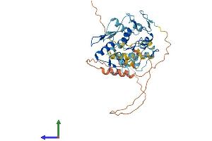 AlphaFold protein structure predicition of Human Recombinant ZNF550 Protein, UniprotID Q7Z398 (ZNF550 Protein (AA 1-422) (His tag))