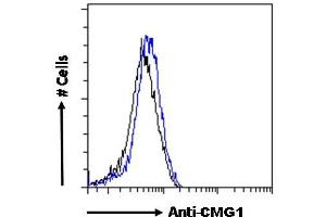 ABIN6391342 Flow cytometric analysis of paraformaldehyde fixed U251 cells (blue line), permeabilized with 0. (IFT74 antibody)