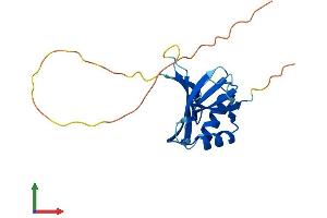 Protein Structure (PS) image for Ornithine Decarboxylase Antizyme 2 (OAZ2) (AA 1-189) protein (His tag) (ABIN7550230)