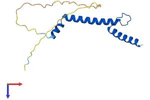 AlphaFold protein structure predicition of Human Recombinant NHLH2 Protein, UniprotID Q02577 (NHLH2 Protein (AA 1-135) (His tag))