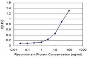 Detection limit for recombinant GST tagged HOXC12 is approximately 0. (HOXC12 antibody  (AA 1-100))