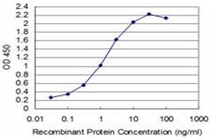 Detection limit for recombinant GST tagged T is approximately 0. (T Brachyury Protein (AA 222-320) antibody)