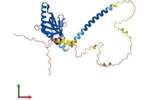 AlphaFold protein structure predicition of Mouse Recombinant Gulp1 Protein, UniprotID Q8K2A1 (GULP1 Protein (AA 1-304) (His tag))