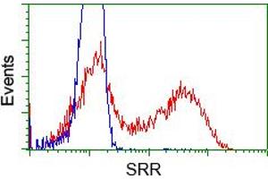 Flow Cytometry (FACS) image for anti-Serine Racemase (SRR) antibody (ABIN1501137) (SRR antibody)