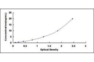 Typical standard curve (CDK4 ELISA Kit)