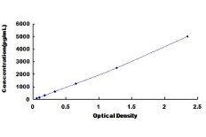 ELISA image for Pro-Atrial Natriuretic Peptide (PRO-ANP) ELISA Kit (ABIN415568)