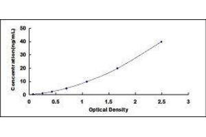 Mitogen-Activated Protein Kinase 3 (MAPK3) ELISA Kit