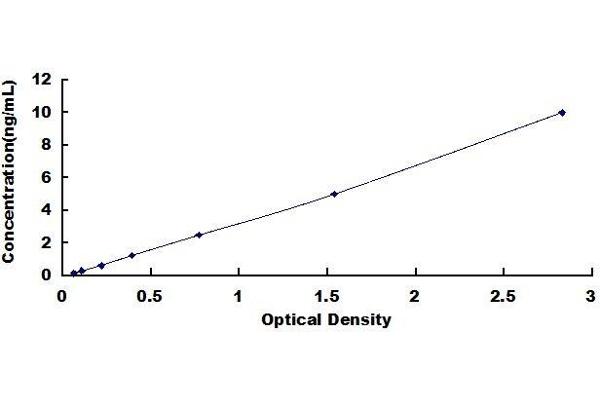 ERBB4 ELISA Kit