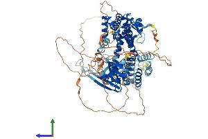 Protein Structure (PS) image for Ral Guanine Nucleotide Dissociation Stimulator-Like 2 (RGL2) (AA 1-777) protein (His tag) (ABIN7551377)