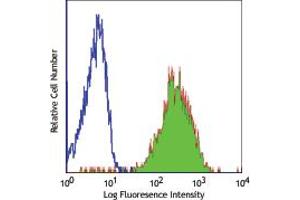 Image no. 1 for anti-CD53 (CD53) antibody (ABIN205343) (CD53 antibody)