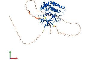 AlphaFold protein structure predicition of Human Recombinant CSNK1G3 Protein, UniprotID Q9Y6M4 (CSNK1G3 Protein (AA 1-447) (His tag))