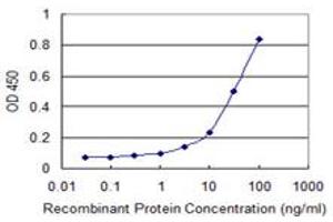 Detection limit for recombinant GST tagged LMBR1 is 1 ng/ml as a capture antibody. (LMBR1 antibody  (AA 214-295))