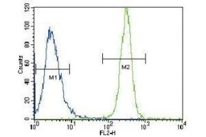 LYN antibody flow cytometric analysis of HeLa cells (green) compared to a negative control (blue). (LYN antibody  (AA 32-62))