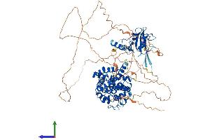 Protein Structure (PS) image for SH2 Domain Containing 3C (SH2D3C) (AA 1-854) protein (His tag) (ABIN7561842)