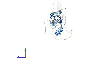 AlphaFold protein structure predicition of Mouse Recombinant Kiaa0319l Protein, UniprotID Q8K135