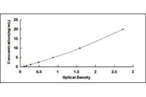 Typical standard curve (XRCC2 ELISA Kit)